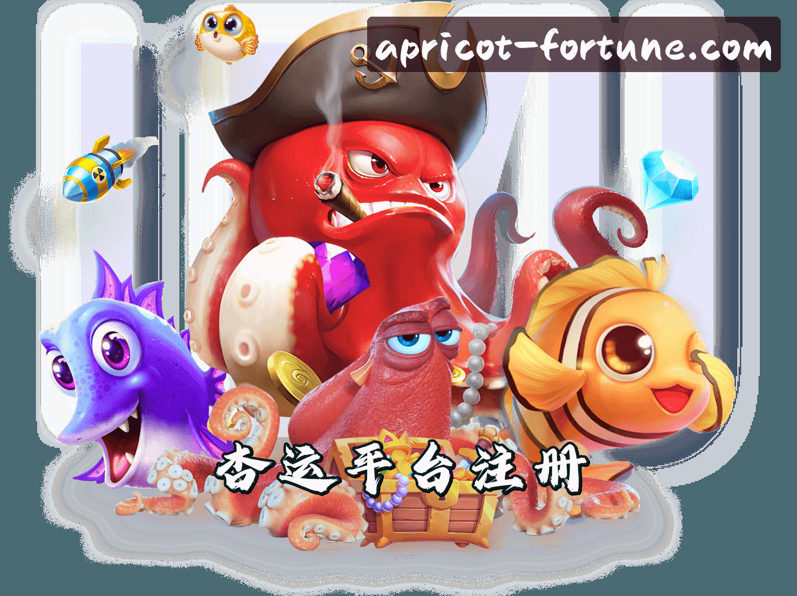 关于我们